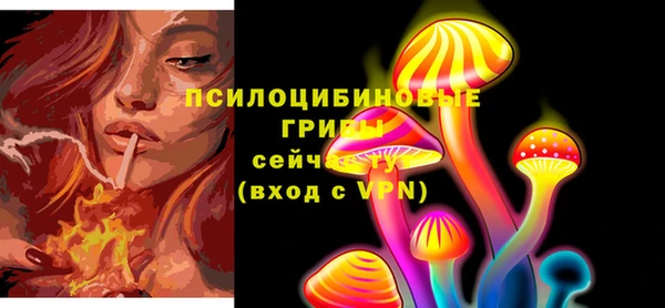 mdpv Алзамай