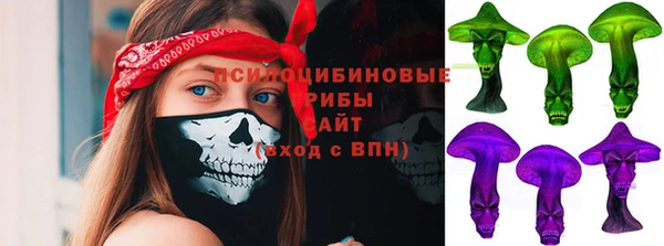 крисы Переславль-Залесский