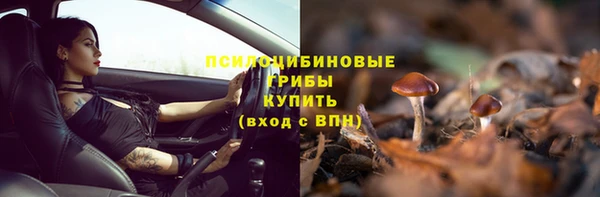 прущая мука Пересвет