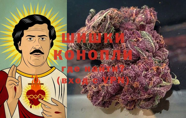 шишки Бежецк