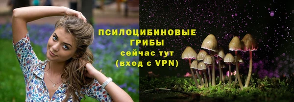 mdpv Алзамай