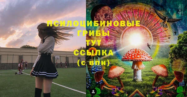 прущая мука Пересвет