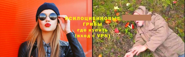 шишки Белая Калитва