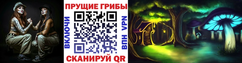 Псилоцибиновые грибы MAGIC MUSHROOMS  гидра рабочий сайт  Кяхта  закладка 